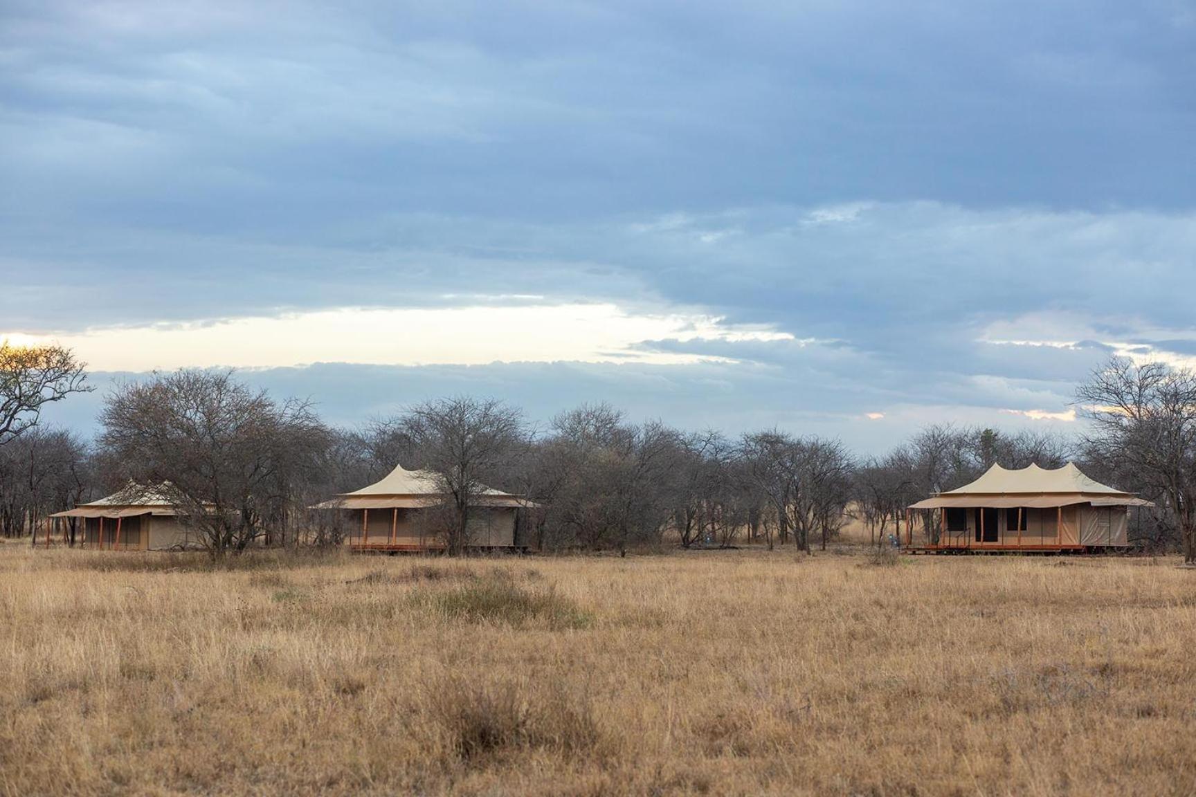House Of Nature سيرينغيتي المظهر الخارجي الصورة
